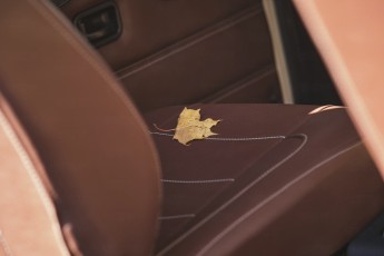 2B-026-Convertible-Mercedes-G-250-082454