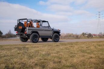 2B-001-Convertible-Mercedes-250GD-MojaveSilver-071006