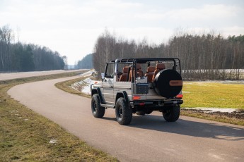 2B-013-Convertible-Mercedes-250GD-MojaveSilver-071006