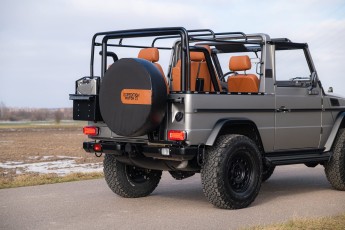 2B-024-Convertible-Mercedes-250GD-MojaveSilver-071006